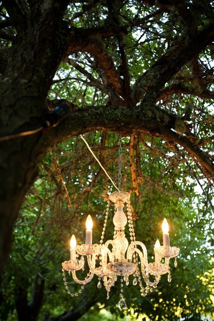 brides.prestonbailey.com chandelier in a tree
