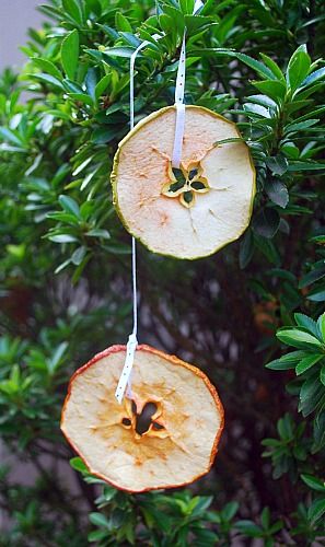 Dried Fruit Ornament 2