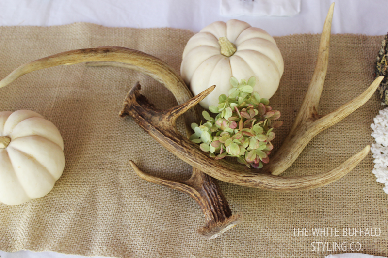 Neutral Fall Baby Shower